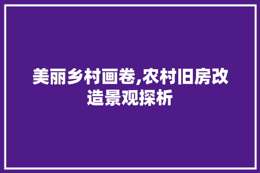 美丽乡村画卷,农村旧房改造景观探析