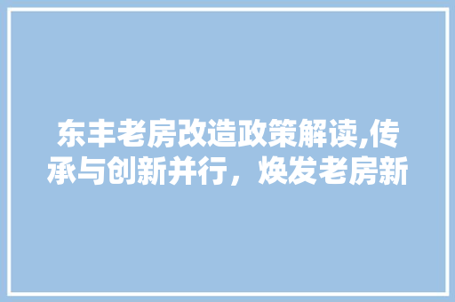 东丰老房改造政策解读,传承与创新并行，焕发老房新活力