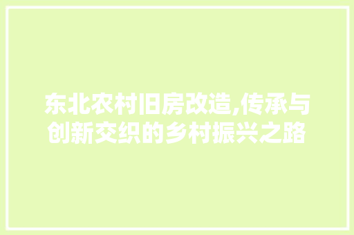 东北农村旧房改造,传承与创新交织的乡村振兴之路