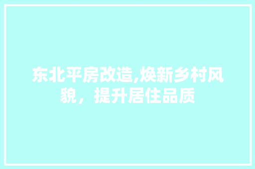 东北平房改造,焕新乡村风貌，提升居住品质