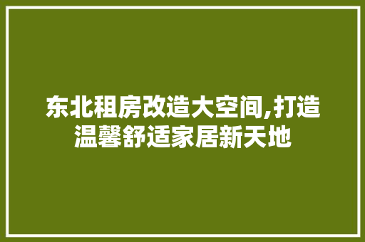 东北租房改造大空间,打造温馨舒适家居新天地