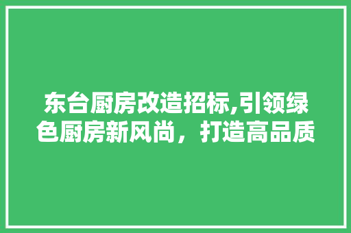 东台厨房改造招标,引领绿色厨房新风尚，打造高品质生活空间