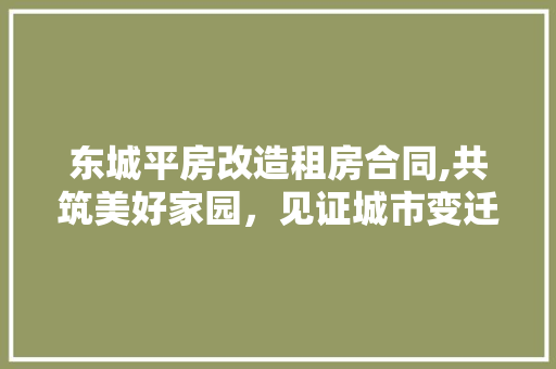 东城平房改造租房合同,共筑美好家园，见证城市变迁