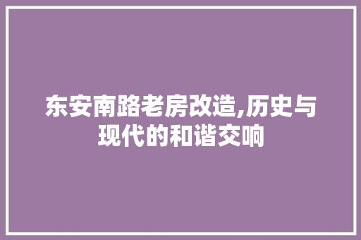 东安南路老房改造,历史与现代的和谐交响