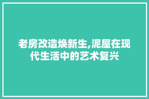 老房改造焕新生,泥屋在现代生活中的艺术复兴