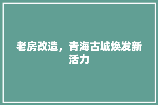 老房改造，青海古城焕发新活力 墙面装饰
