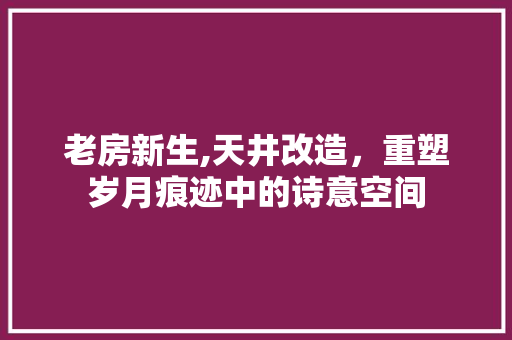 老房新生,天井改造，重塑岁月痕迹中的诗意空间 装修攻略