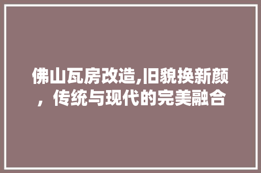 佛山瓦房改造,旧貌换新颜，传统与现代的完美融合 墙面装饰
