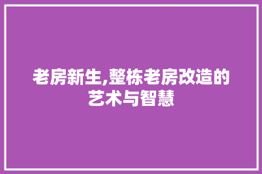 老房新生,整栋老房改造的艺术与智慧