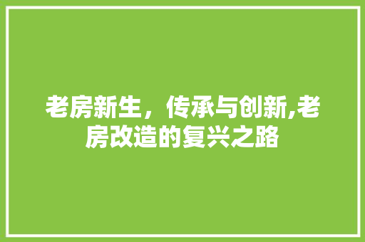 老房新生，传承与创新,老房改造的复兴之路