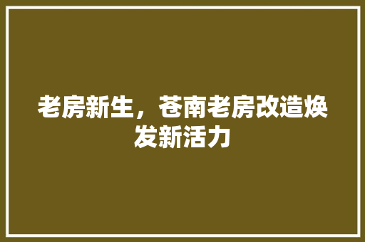 老房新生，苍南老房改造焕发新活力