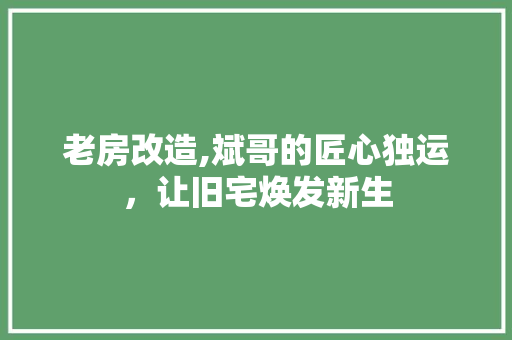 老房改造,斌哥的匠心独运，让旧宅焕发新生