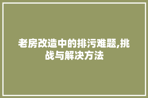 老房改造中的排污难题,挑战与解决方法