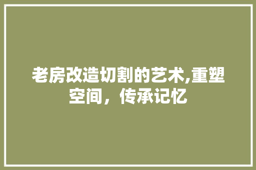 老房改造切割的艺术,重塑空间，传承记忆 地面装修