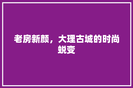 老房新颜，大理古城的时尚蜕变 装修材料