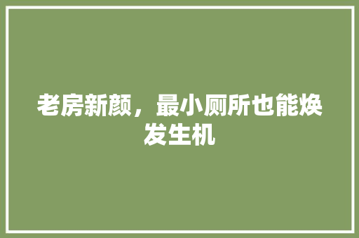 老房新颜，最小厕所也能焕发生机