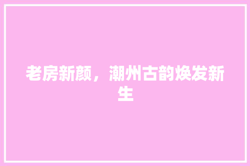 老房新颜，潮州古韵焕发新生