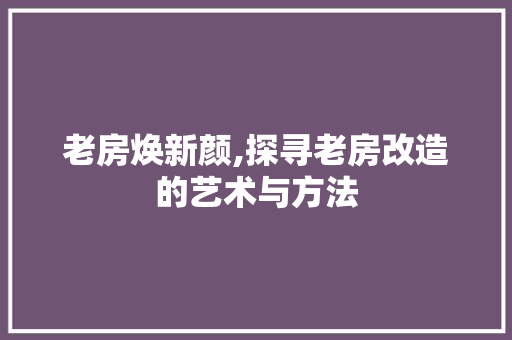 老房焕新颜,探寻老房改造的艺术与方法