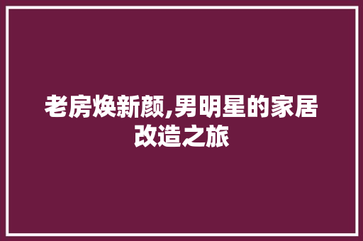 老房焕新颜,男明星的家居改造之旅