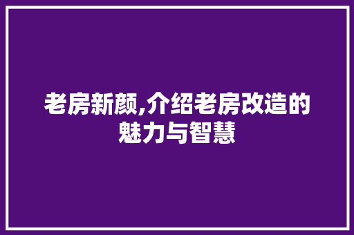 老房新颜,介绍老房改造的魅力与智慧