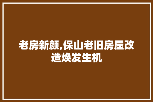 老房新颜,保山老旧房屋改造焕发生机 装修材料