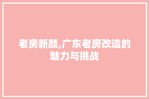 老房新颜,广东老房改造的魅力与挑战