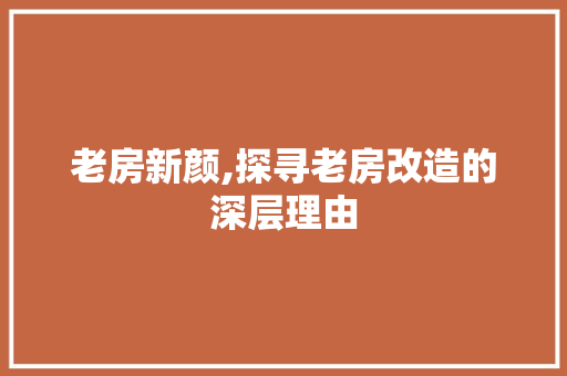 老房新颜,探寻老房改造的深层理由