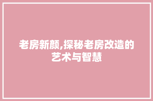 老房新颜,探秘老房改造的艺术与智慧