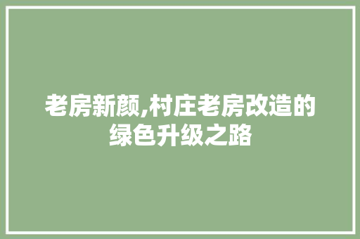 老房新颜,村庄老房改造的绿色升级之路 庭院装修