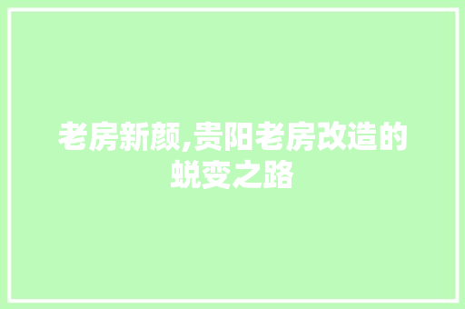 老房新颜,贵阳老房改造的蜕变之路 装修攻略