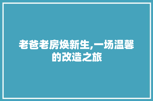 老爸老房焕新生,一场温馨的改造之旅