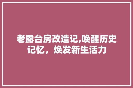 老露台房改造记,唤醒历史记忆，焕发新生活力