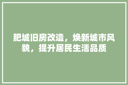 肥城旧房改造，焕新城市风貌，提升居民生活品质
