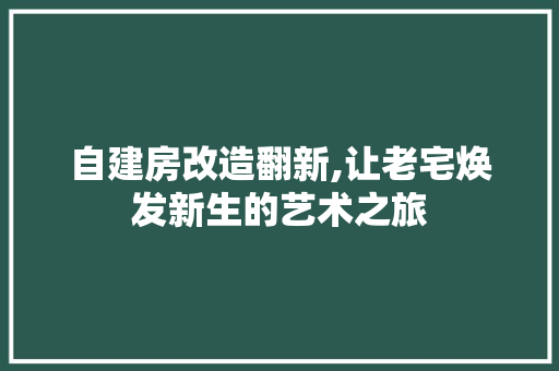 自建房改造翻新,让老宅焕发新生的艺术之旅