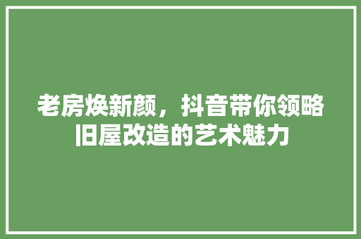 老房焕新颜，抖音带你领略旧屋改造的艺术魅力