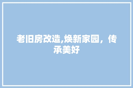 老旧房改造,焕新家园，传承美好 庭院装修