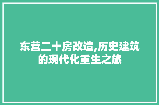 东营二十房改造,历史建筑的现代化重生之旅