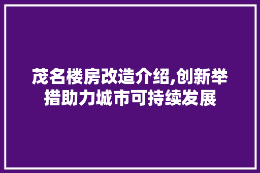茂名楼房改造介绍,创新举措助力城市可持续发展