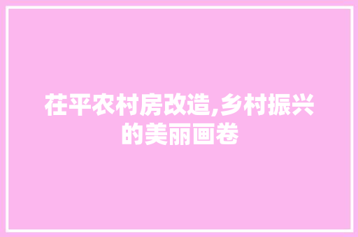 茌平农村房改造,乡村振兴的美丽画卷
