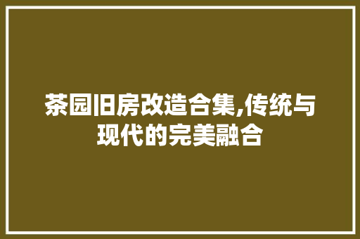 茶园旧房改造合集,传统与现代的完美融合 装修攻略