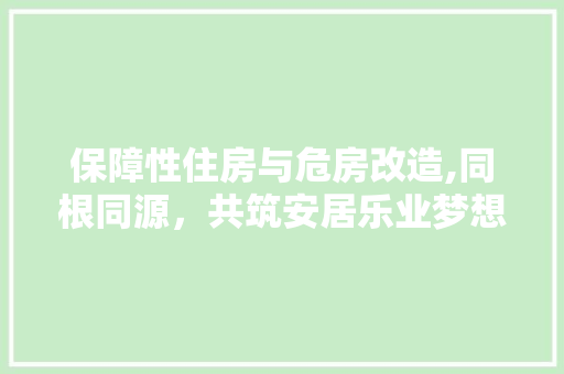 保障性住房与危房改造,同根同源，共筑安居乐业梦想
