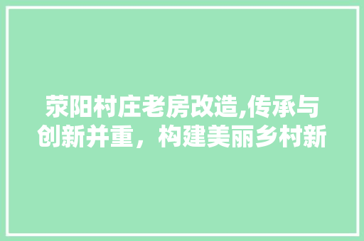 荥阳村庄老房改造,传承与创新并重，构建美丽乡村新格局 装修攻略