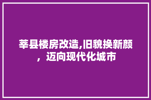 莘县楼房改造,旧貌换新颜，迈向现代化城市
