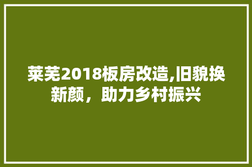 莱芜2018板房改造,旧貌换新颜,助力乡村振兴