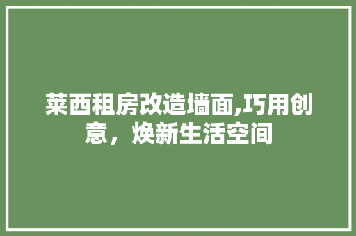 莱西租房改造墙面,巧用创意，焕新生活空间 隔断设计