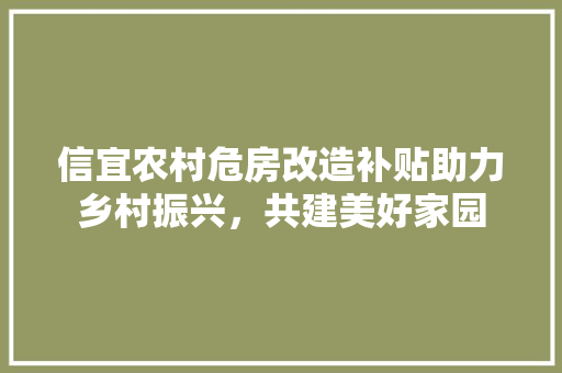 信宜农村危房改造补贴助力乡村振兴，共建美好家园