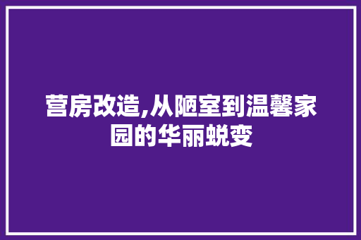 营房改造,从陋室到温馨家园的华丽蜕变