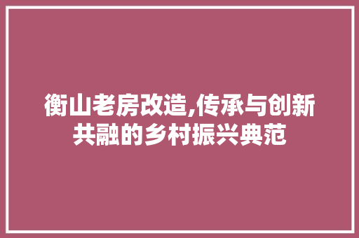衡山老房改造,传承与创新共融的乡村振兴典范