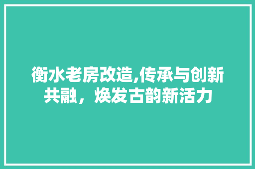 衡水老房改造,传承与创新共融，焕发古韵新活力