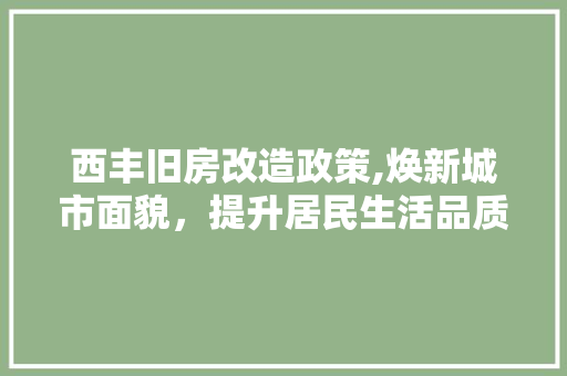 西丰旧房改造政策,焕新城市面貌，提升居民生活品质